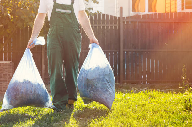 Debris Removal in Hargill, TX